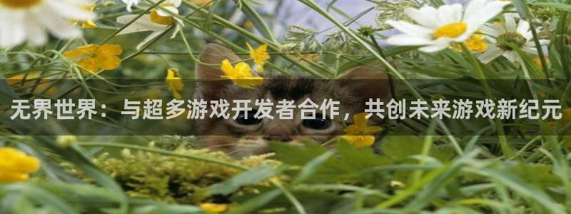 完美电竞官网子财经丛书有哪些