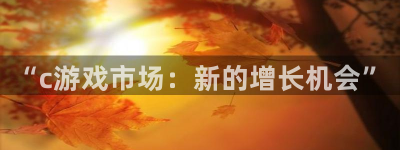 完美电竞代理开号：“c游戏市场：新的增长机会”