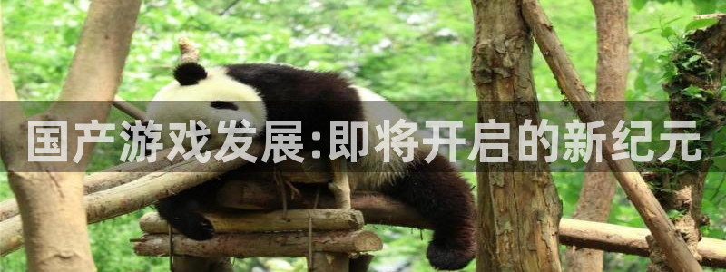 完美电竞官网防水是几线品牌