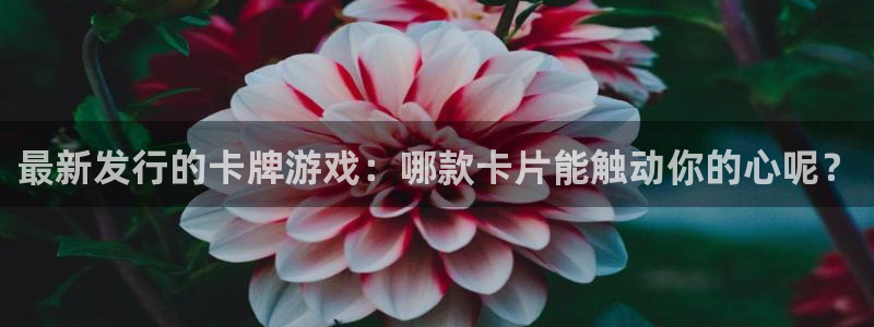 完美电竞注册地址在哪里查询：最新发行的卡牌游戏：哪款卡片能触动你的心呢？