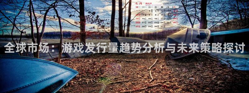 完美电竞官网电子商务有限公司：全球市场：游戏发行量趋势分析与未来策略探讨