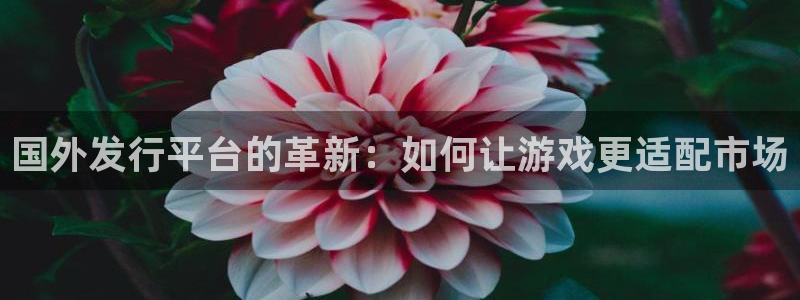 完美电竞官网子经理人读后感