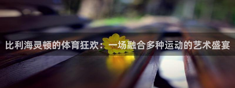 ug环球官网登录入口：比利海灵顿的体育狂欢：一场融合多种运动的艺术盛宴