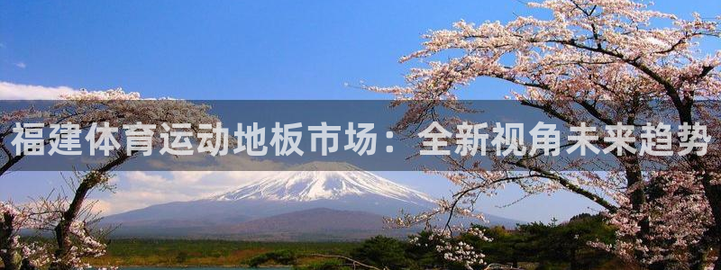 ug环球官网登录入口：福建体育运动地板市场：全新视角未来趋势