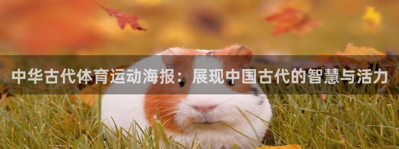 菲律宾ug环球官网：中华古代体育运动海报：展现中国古代的智慧与活力