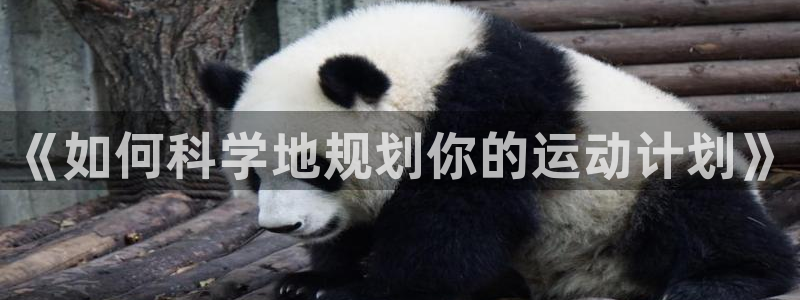 ug环球官网：《如何科学地规划你的运动计划》