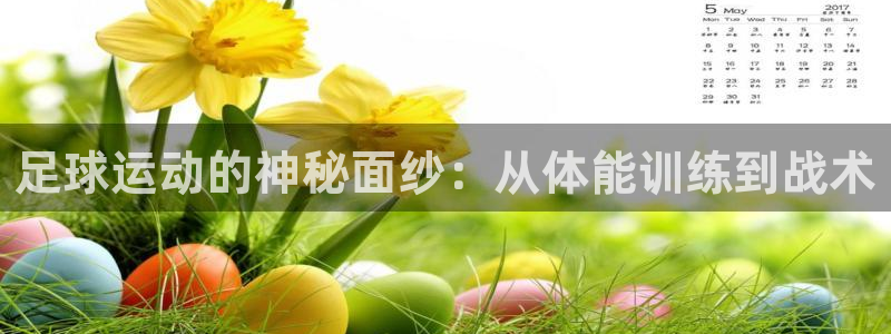 ug环球官网登录入口：足球运动的神秘面纱：从体能训练到战术