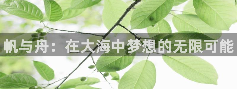 ug环球官网登录入口：帆与舟：在大海中梦想的无限可能