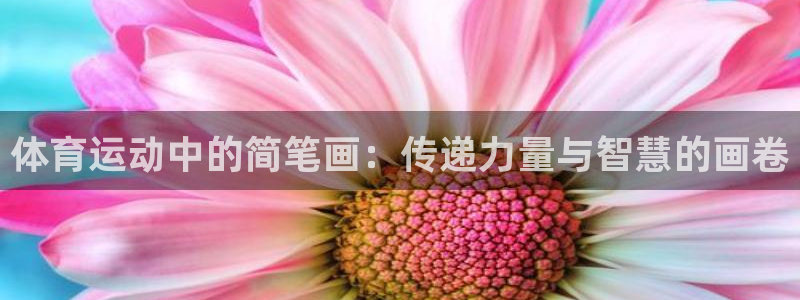 菲律宾ug环球官网：体育运动中的简笔画：传递力量与智慧的画卷